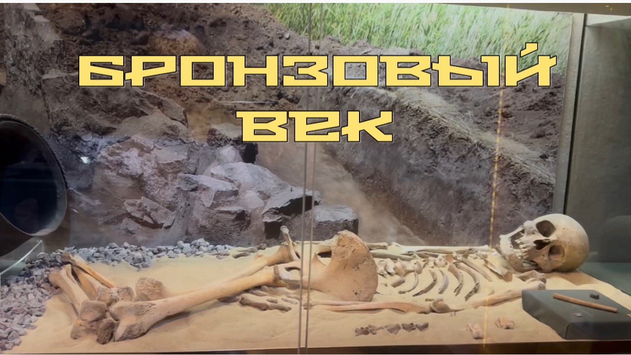 Часть 1. ВОРОНЕЖСКИЙ КРАЕВЕДЧЕСКИЙ МУЗЕЙ. БРОНЗОВЫЙ ВЕК. Древнеямная культура