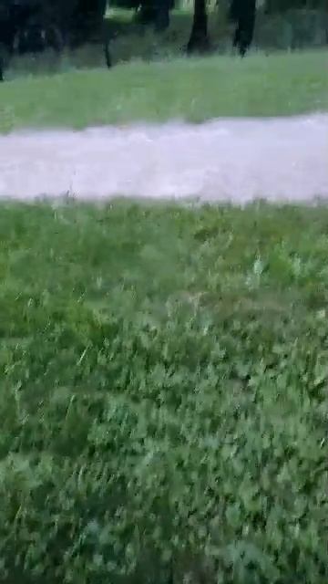 транслюха 2