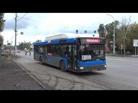 Кемерово, автобус MAN A21 NL313 CNG № 446 (АХ 446 42). Синий!