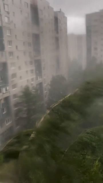 🌪 Сильный ветер накроет Москву и Подмосковье