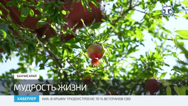 Ветеран педагогического труда Васфие Халилова отметила своё 94-летие