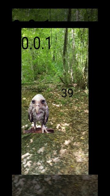 я сделал новую игру