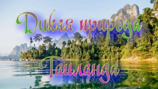Дикий мир Таиланда