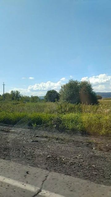 Едем в Новосибирск на машине