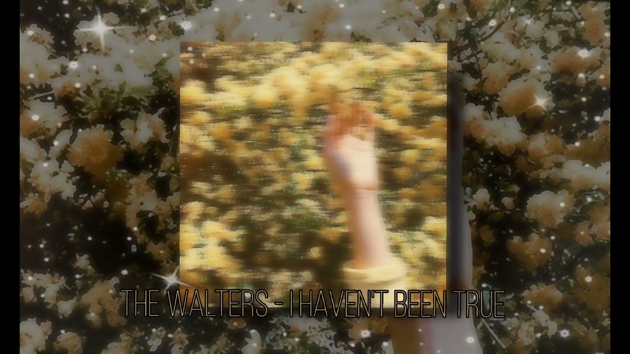 The Walters - I Haven't Been True (slowed & Reverb)