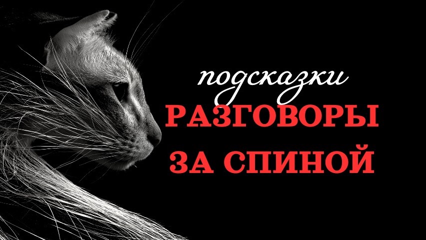🔥СПЛЕТНИ О ВАС🔥