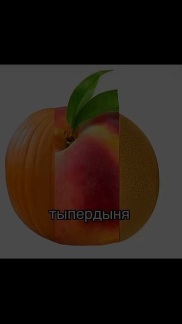 Когда пообещал себе не скидывать тупые мемы но...рекомендации юмор смех прикол