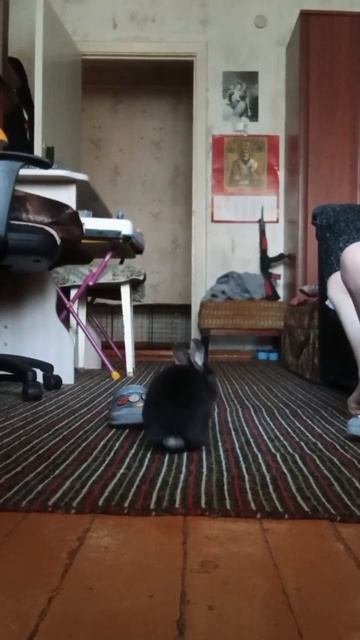 знаете этот тренд