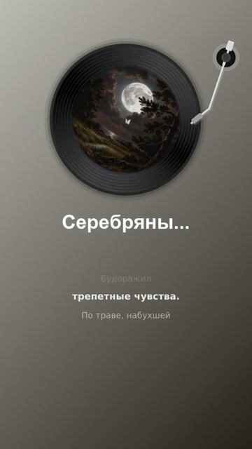 Ночная гроза