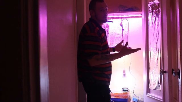 Tepli4ka