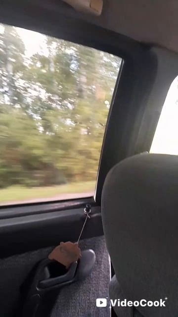 VideoCook_20260819_180801952