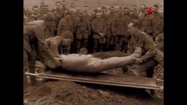 Великая и забытая. Горькая печать беспамятства о предках героях Второй Отечественной 1914 - 1918.