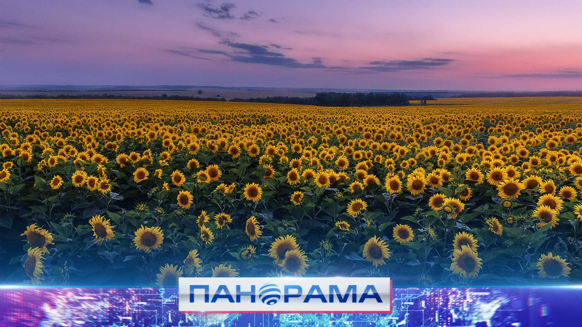 ⚡️От поля до тарелки: как пестициды могут влиять на урожай?