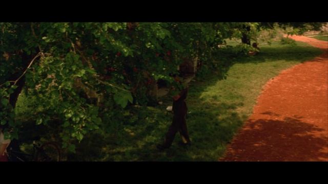Ускользающая красота (1995) / Stealing Beauty