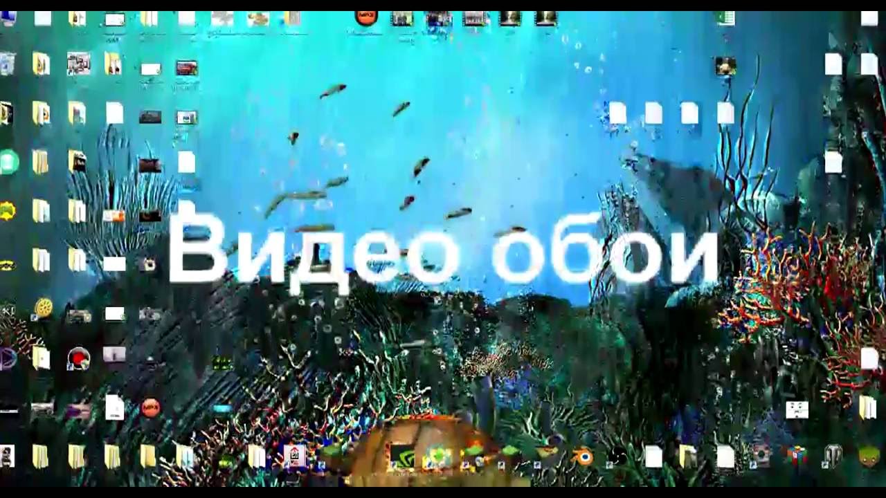 Видео обои (живые обои) для робочого стола