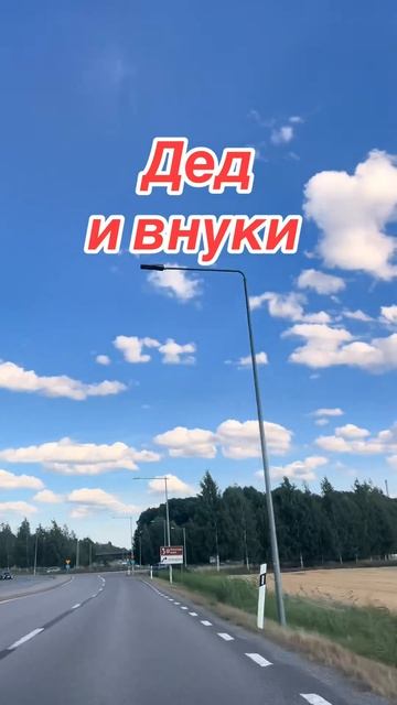 дед и внуки
