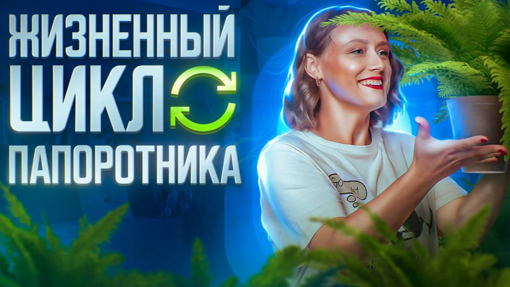 Жизненный цикл папоротников  ЕГЭ-2025 по биологии