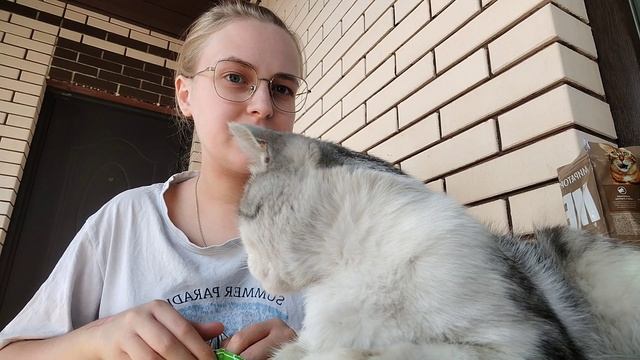 ВЛОГ ДЕГУСТАЦИЯ КОРМОВ🥣 На улице жара☀️