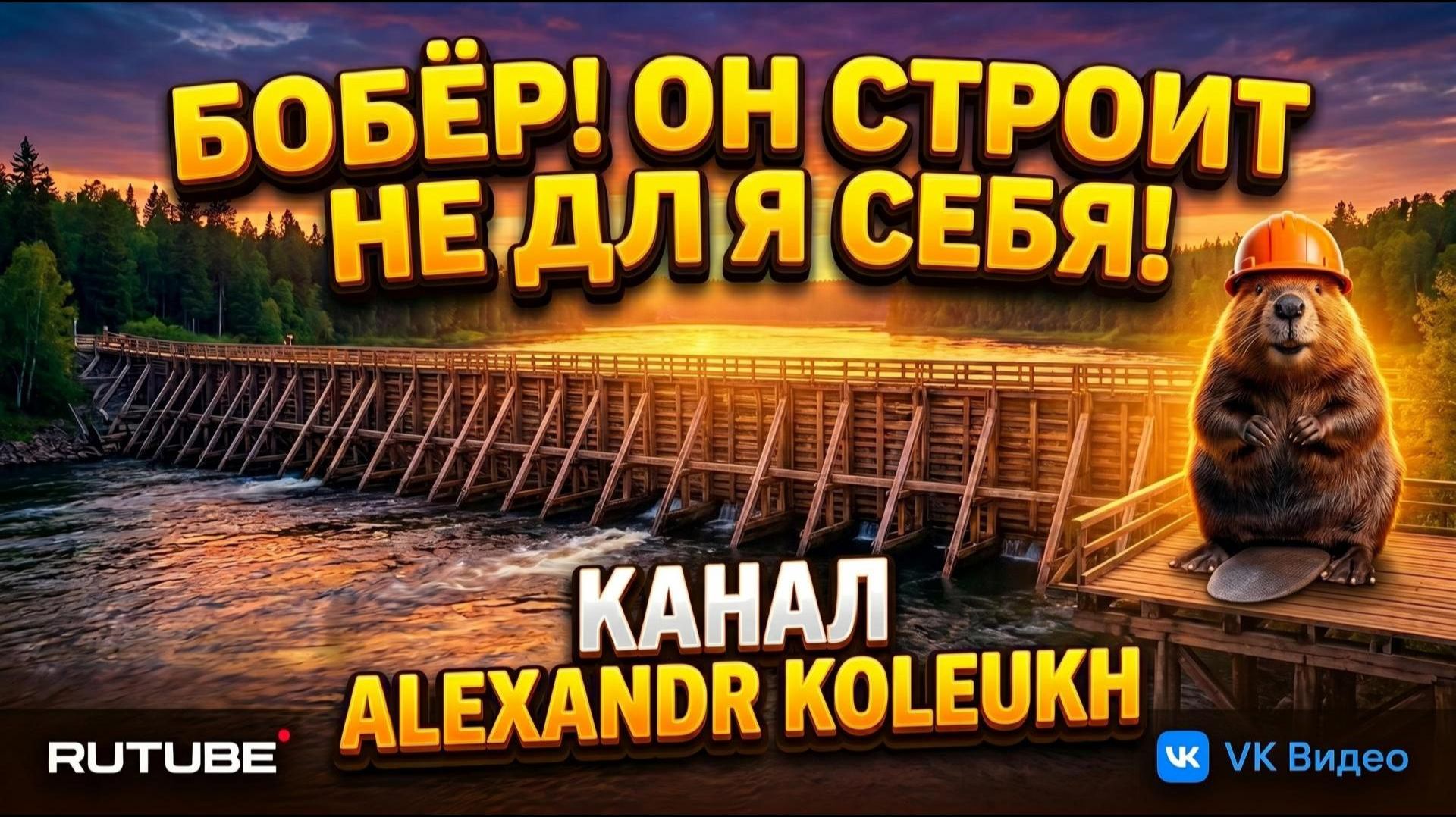 Бобёр! Он строит плотину не для себя!