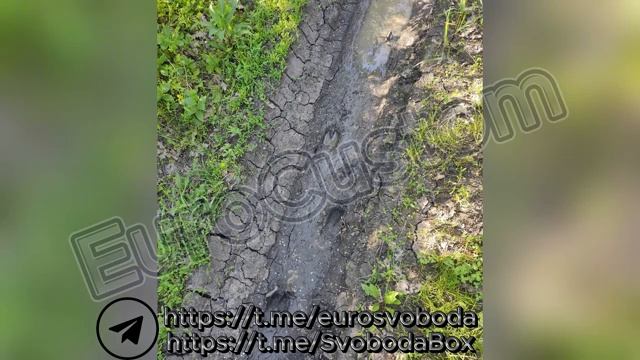 В ПМР за один день Не забывайте нажать и Подпишись