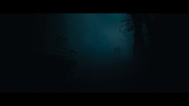 Королевство зверей (2023) / Le Règne Animal