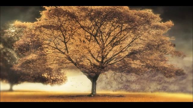 Arash Ft. Helena - Broken Angel