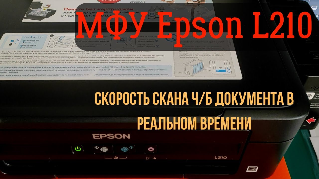 МФУ Epson L210. Скорость сканирования, чёрно-белое. Засорилась головка.