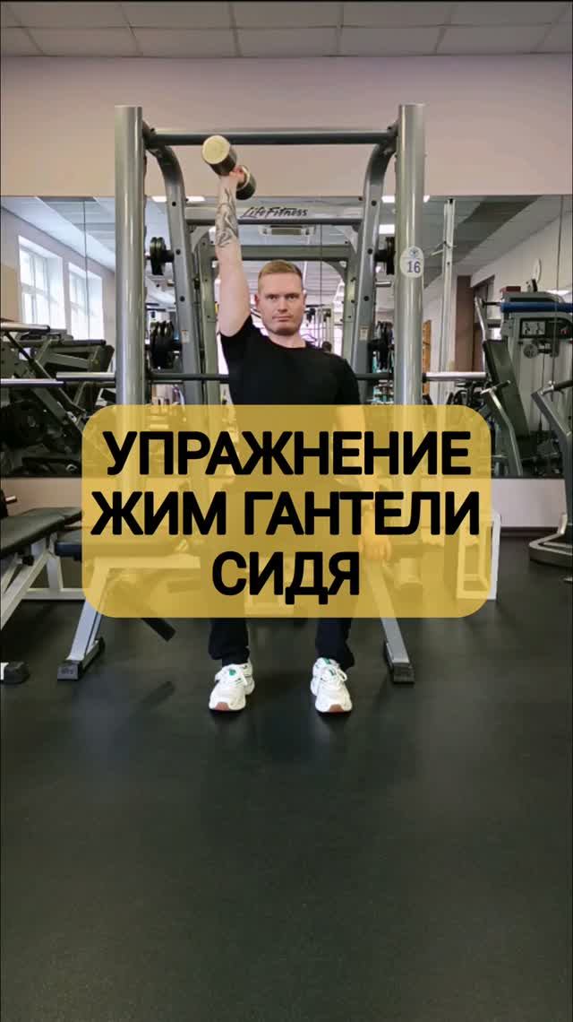 Упражнение жим гантели сидя