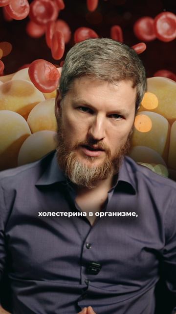 Почему холестерин нужен телу