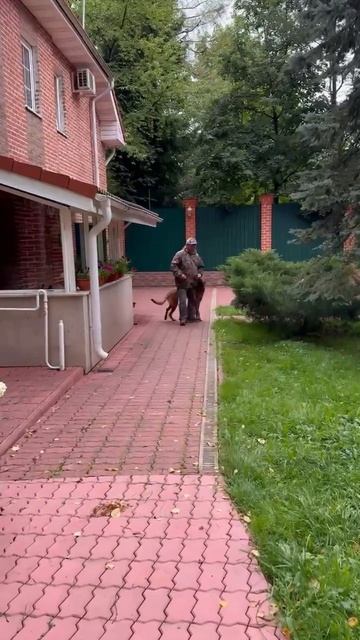 Послушалки!