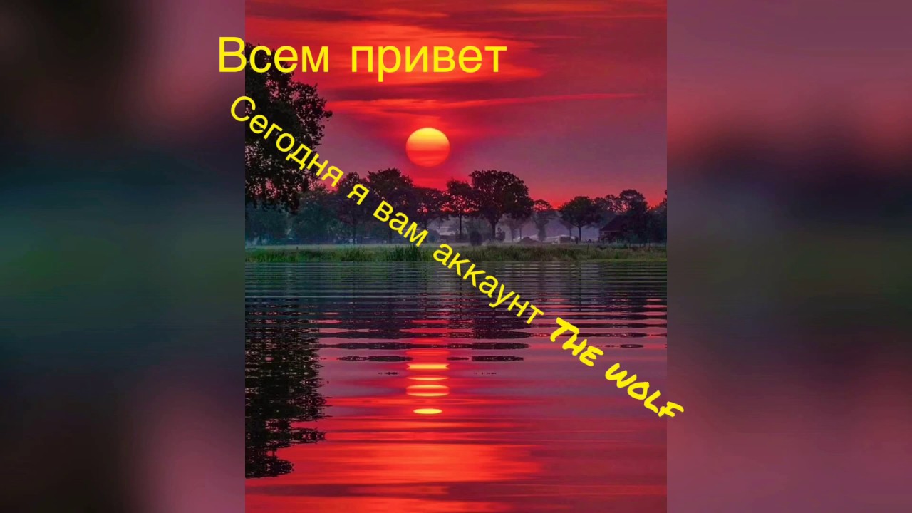 Акк в The Wolf / спасибо 53 подписчика 🤗