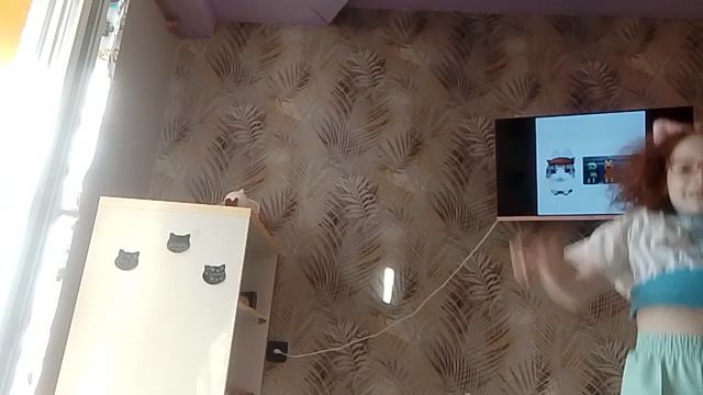 VID_20260819_173327