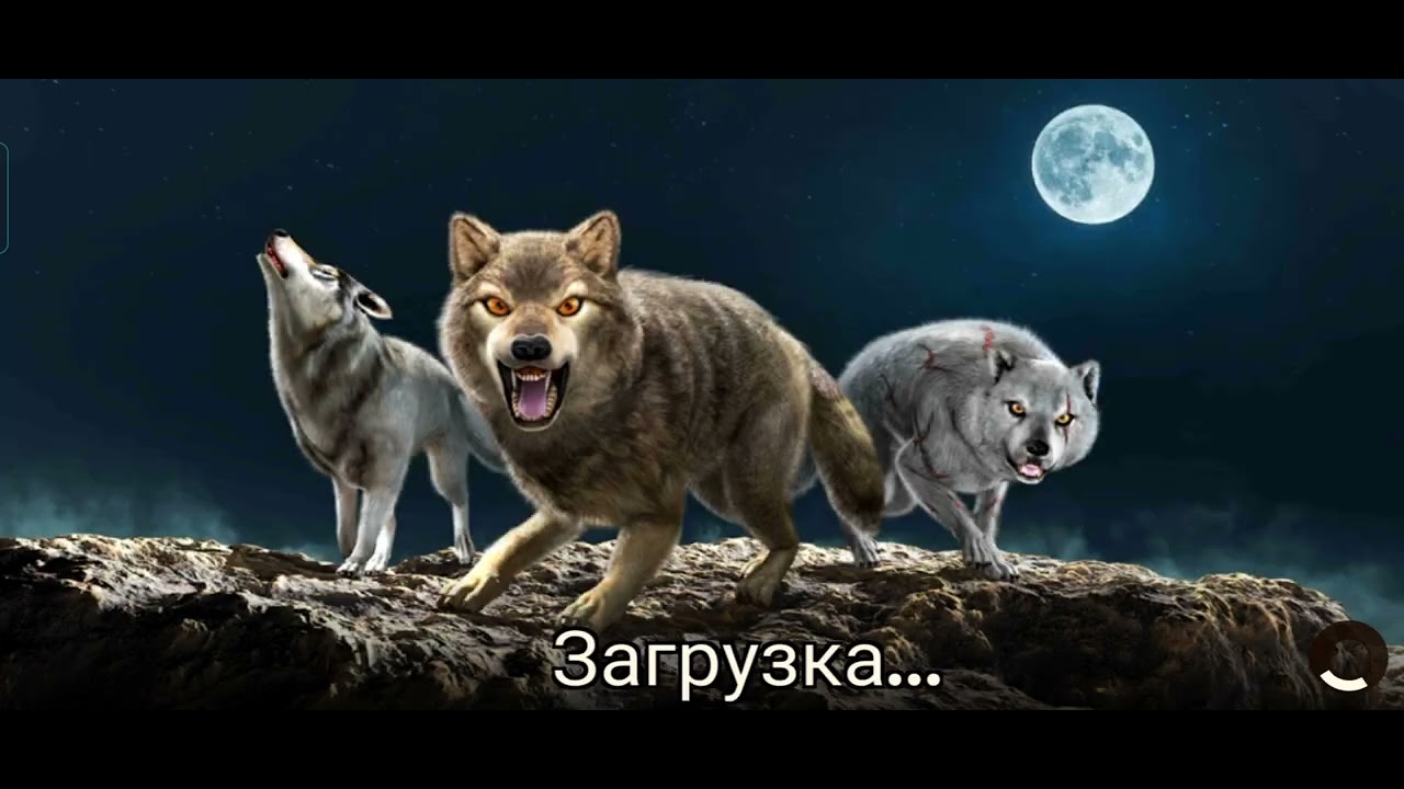 The Wolf 2 акка в игре!