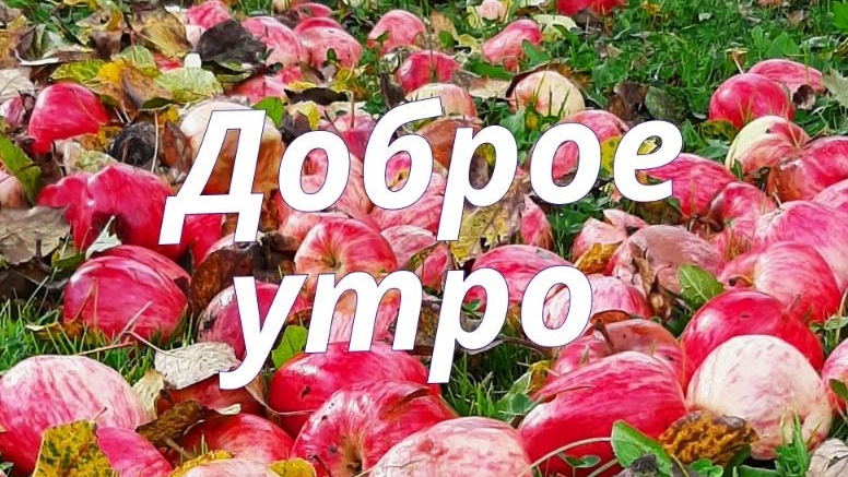 С добрым летним утром. Красивая музыкальная открытка.