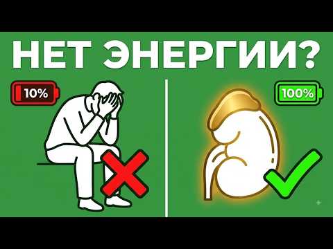 Почему нет энергии после 14:00? Как восстановить силы! #ХроническаяУсталость #ИнсулиновыеКачели
