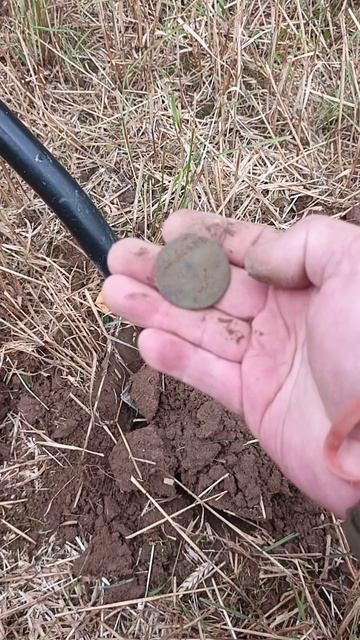 Коп монет #shorts #копмонет #находки #metaldetecting #поискмонет