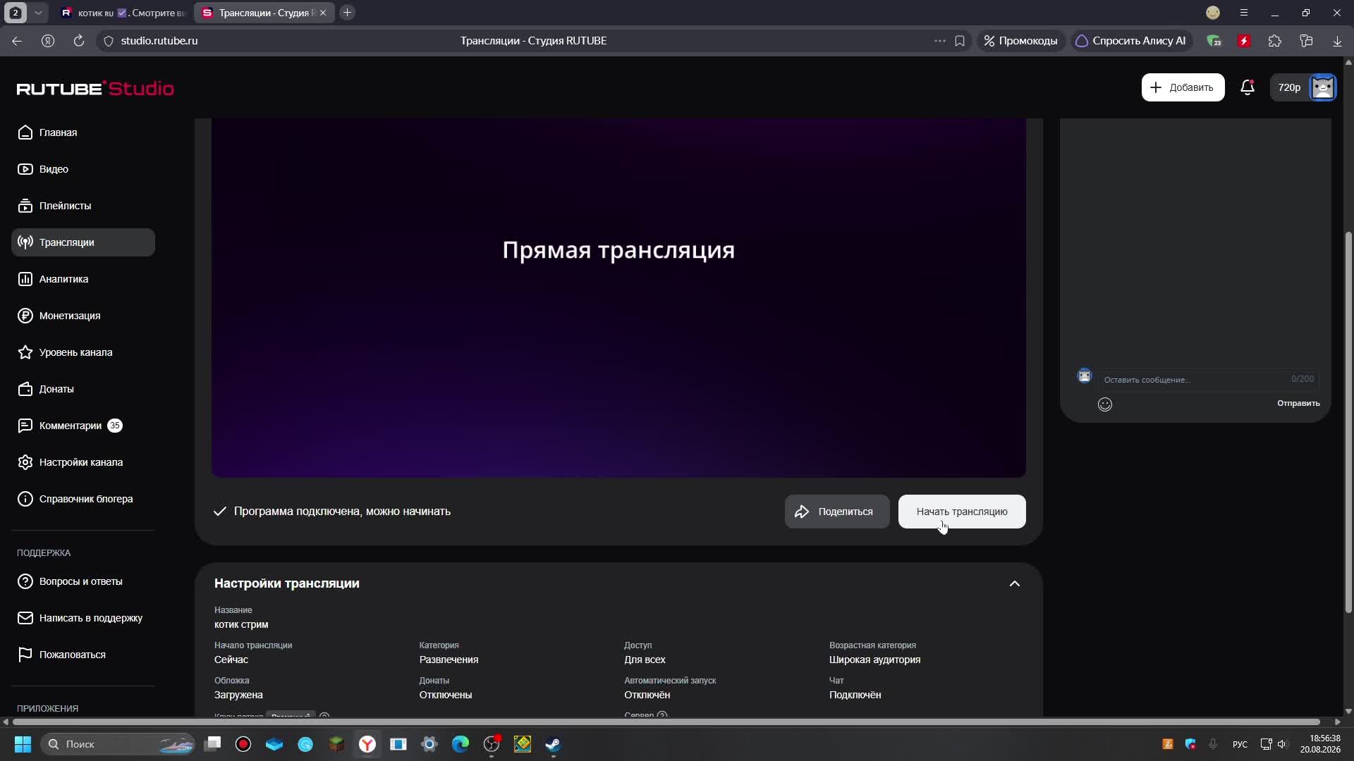 котик стрим