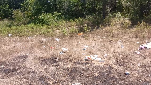 Свалка в природном парке Волго-Ахтубинская пойма 3