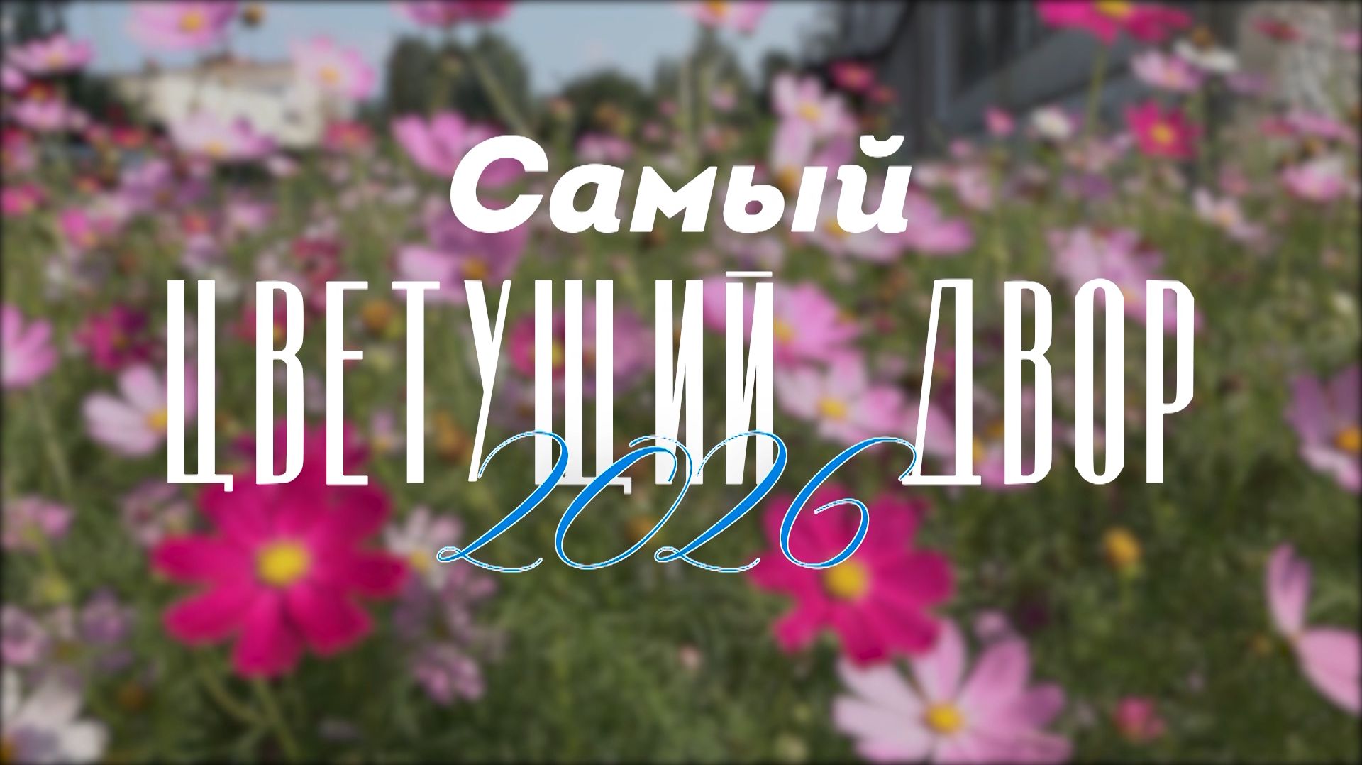 Самый цветущий двор - 2026
