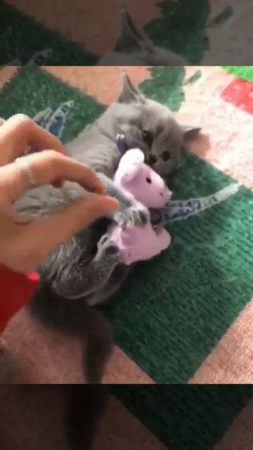 БЫВАЕТ