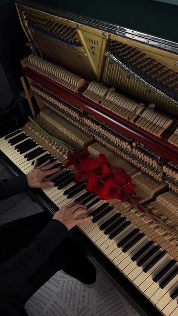 Nuvole Bianche – Ludovico Einaudi на пианино