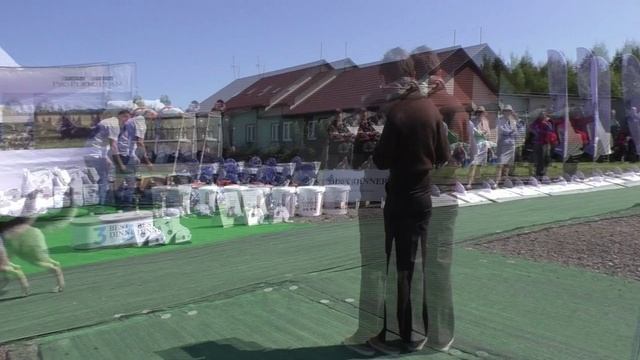 Класс открытый 1 группа