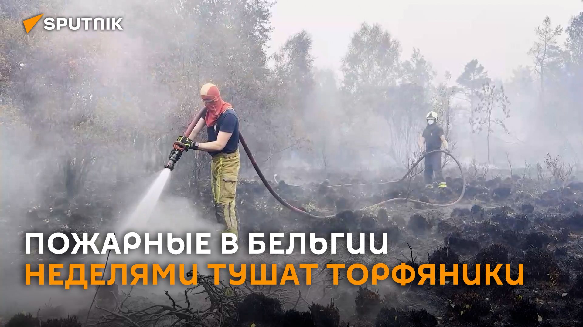 Угроза под землей: пожарные Бельгии борются с тлеющими торфяниками