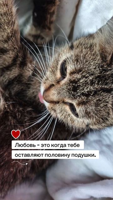 про половинку подушки