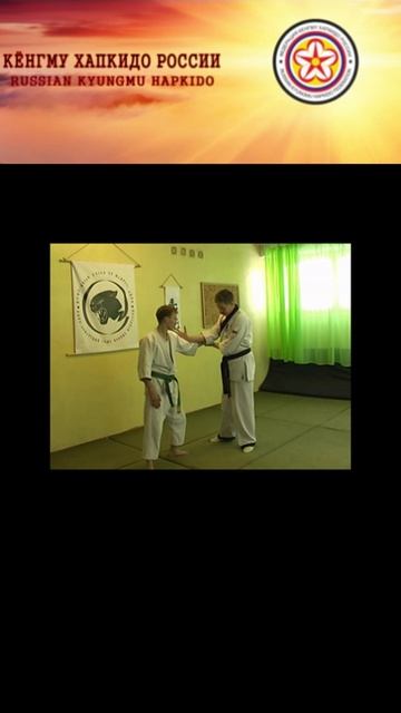 Master Igor Suryenkov. Kyungmu Hapkido Demonstration. (Russia. Yasny. February 2010.) Part 36