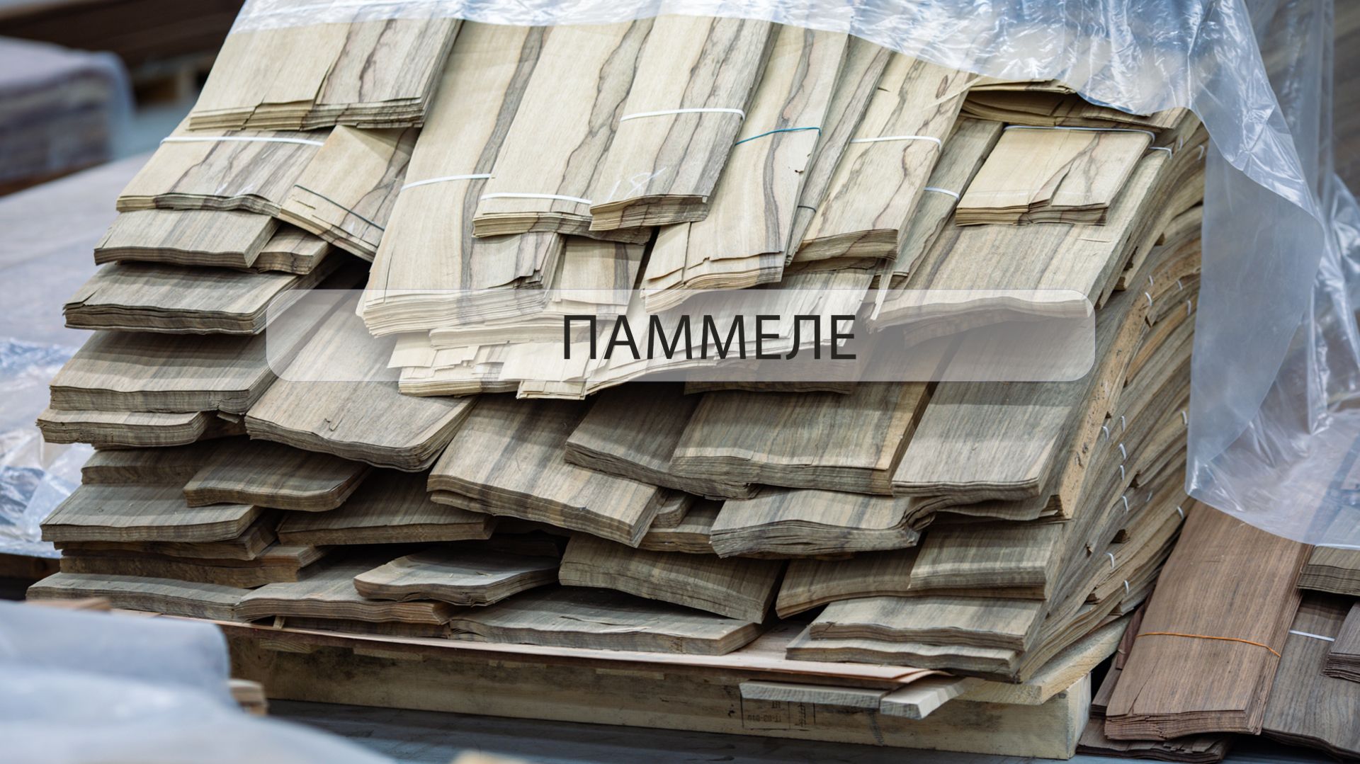 Что такое паммеле