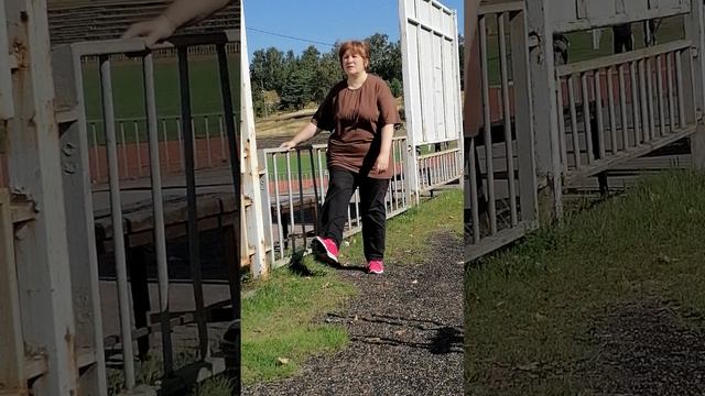 Моя трени