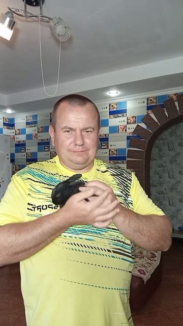 кролики