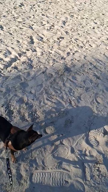 Пляж 🏖️ май