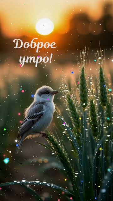 Доброе утро ☕